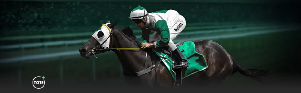 周六,英冠焦点战,考文垂迎战,双赢彩票官方网站,双赢彩票团队,双赢彩票,双赢彩票体育集团,双赢彩票赛事平台,双赢彩票直播公司